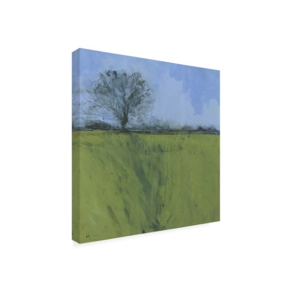 Paul Bailey 'Fenland Morning' Canvas Art,35x35